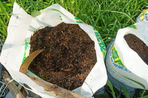 contents_img007