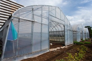 contents_img010