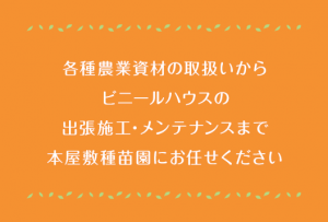main_copy
